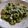 El cooksnap de Noemí cuando hizo Raviolis de ricota y espinacas con pesto de espinacas.