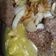 El cooksnap de Grass cuando hizo Salsa de cerveza a la naranja.