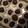 El cooksnap de Bruno Verocay cuando hizo Bombones - Una versión Brigadeiro.