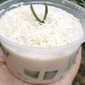 Cooksnap dari Anis Wulandari untuk resep Buko pandan