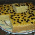 Cooksnap dari sutirah 1901 untuk resep LEKKER HOLLAND (Dutch Butterkoek)