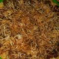 Cooksnap dari Dien Yuniar untuk resep Pizza Nasi (no oven, teflon aja)