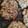 El cooksnap de Andrea Frechero Vilas cuando hizo Galletas de granola.