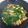 Williann Lam 的 韭菜花炒甜不辣豆干 cooksnap