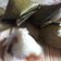 Cooksnap dari Mercy Brata untuk resep Kue Lapet Pandan Gulmer (#pr_olahantepungberas)
