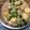 Cooksnap dari Mery Lee untuk resep Tofu udang saus tiram