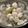 Cooksnap dari Pakprawee untuk resep Bakso