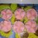 Cooksnap dari Nanda RaFa untuk resep Apem tepung beras