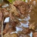 Cooksnap dari Dewi Rachmayanti untuk resep Semur Daging Sapi