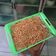 Cooksnap dari nyit93 untuk resep Kacang bawang gurih, renyah