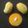 Alpa Pandya's cooksnap of when they made કેરીનો રસ.
