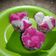 Cooksnap dari sulfia ayu lestari untuk resep Bolu kukus mekar - Sprite #36