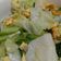 陳衫綻 的 蛋炒高麗菜（蛋素） cooksnap