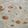 Fazila's cooksnap of when they made Tortilla /sandwich wrap.