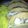 Ihatecooking's cooksnap of when they made Tilapia Fish Tacos w Tartar Sauce Coleslaw.