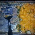 b0920's cooksnap of when they made Hamburger tater tot cassarole.
