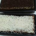 Cooksnap dari Joejoe Aziz untuk resep Brownies Kukus Resep Ny. Liem
