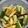 Cooksnap imel_recipe semasa beliau membuat Rojak Pencuk.