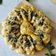 Cooksnap dari RatihAng untuk resep Sun Flower pizza