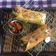 chef Nidhi Bole's cooksnap of when they made મેક્સિકન બિન બરિતો (Mexican Bean Burritos Recipe in Gujarati).