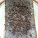 Cooksnap dari Vit Ria untuk resep Brownies Kukus Simpel