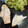 El cooksnap de astrid badia cuando hizo Merluza a la plancha con ajo y perejil.