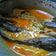 Cooksnap dari Dian Ambarwati untuk resep Mangut Lele
