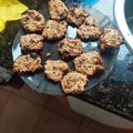 El cooksnap de Alicia Ruth Benjamín cuando hizo Galletitas de Avena y Miel 🍯.