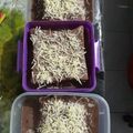 Cooksnap dari Helena Tresnowati untuk resep Stup Roti ala mama alip😆😘