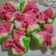Cooksnap dari intan sutrisna untuk resep Bolu Kukus Semangka (mekar)