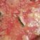 El cooksnap de Rosario Vergara Olea cuando hizo Salsa Vizcaína.