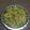 Rekha Ramchandani's cooksnap of when they made પપૈયા નો સંભારો (Papaya Sambharo Recipe In Gujarati).