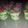 Cooksnap dari Bundanya Aisyah untuk resep Es Teler Cake