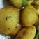 صورة من Duha Wesam، شاركها بعد تجربة وصفة طريقه عمل عجينه الكبه