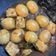Cooksnap dari Aci untuk resep Semur Telur Kecap