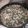 El cooksnap de jorgelina cuando hizo Coliflor gratinado con acelga y jamón.
