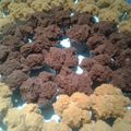 Cooksnap dari Mamah Uun untuk resep (No Mixer) Bolu Kukus Cokelat Mekar - Anti gagal 😉