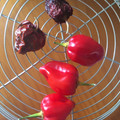 El cooksnap de ChikiTiki cuando hizo Cómo conservar pimientos picantes.