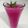 @Tehmina_Ameen's cooksnap of when they made Falsa Juice🍷.