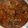 Adil Hasan's cooksnap of when they made Mutton korma.