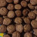 Cooksnap dari ayu untuk resep Brownis mini kering