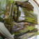 Cooksnap dari Ukhti Ika untuk resep Wadai pais pisang