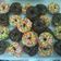 Cooksnap dari Guitreda Marsella Rikumahu untuk resep Donat Tanpa Telur (Eggless Donut) / Donat Empuk Ekonomis