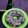Cooksnap dari Sinta Janing untuk resep Purple-Pink Jelly Pudding