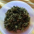 Shubhangi Asabe Katkar's cooksnap of when they made Homemade kasuri meethi.