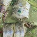 Cooksnap dari Tri Wahyu Handayani untuk resep Baracuda bumbu kuning