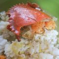 Cooksnap dari Tika untuk resep Kepiting Kare Gurih