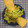 El cooksnap de Cisca cuando hizo Guacamole.