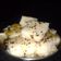 Varsha Karia I M Crazy About Cooking's cooksnap of when they made મસાલા ઈડલી (Masala Idli રેસીપી in Gujarati).