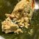 Cooksnap dari Ummu Salma Muhammad untuk resep Botok Telur Asin
